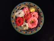 vvbvanbree bloemen en planten j  3166